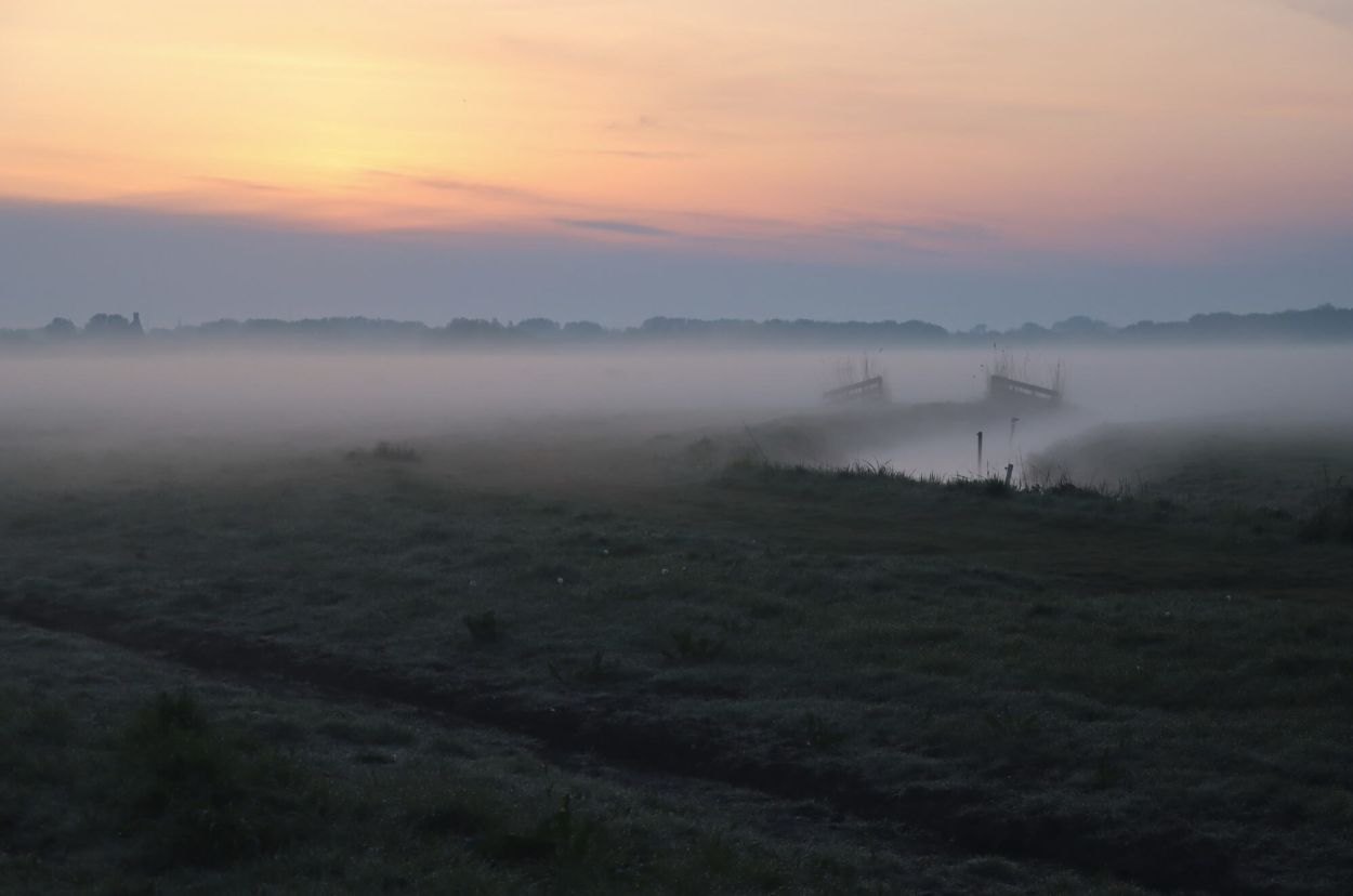 Mindfulness training Almelo. Mindfulness als aandachtstraining bij stress